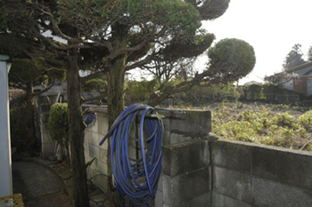 敷地横には空き地が広がる。特に夏場は草深くなるので、泥棒がアプローチしやすい弱点となる。